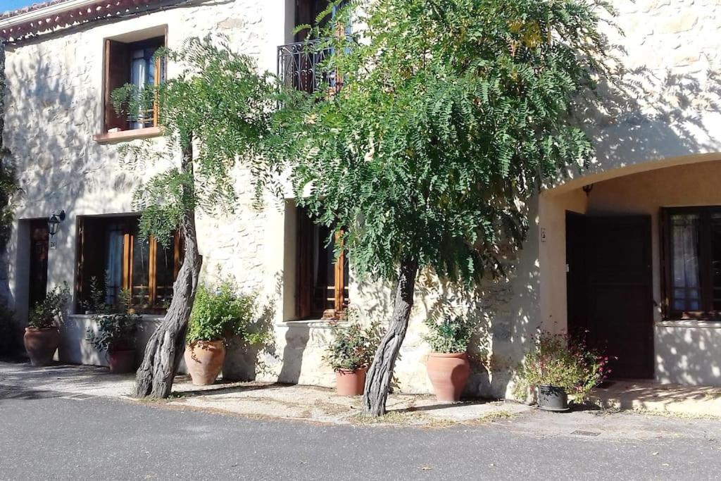 Chez Sheila Appartement Cucugnan Buitenkant foto